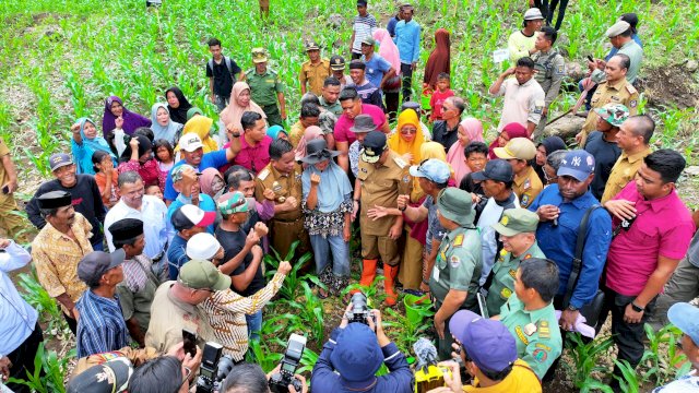 Kades di Jeneponto yakin Program Pj Gubernur Sulsel Dongkrak Pendapatan Petani
