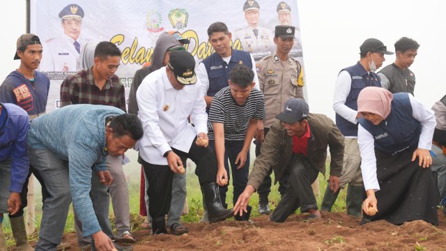 Pj Gubernur Sulsel Ikut Tanam Kentang Bersama Petani Tinggimoncong