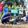 Terima Saran Pj Gubernur Sulsel, PT Vale Akan Tanam Sukun untuk Rehabilitasi Lahan Tambang