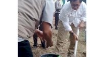 Wabup Suaib Mansur Apresiasi Penanaman Perdana Pisang Cavendish di Luwu Utara