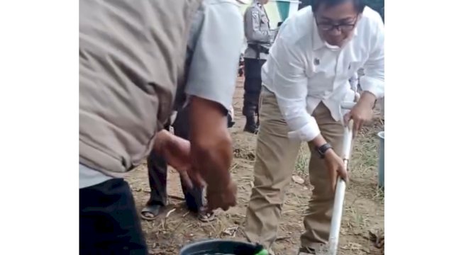 Wabup Suaib Mansur Apresiasi Penanaman Perdana Pisang Cavendish di Luwu Utara