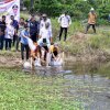 20 Ribu Bibit Ikan Nila Kembali Ditebar di Bone