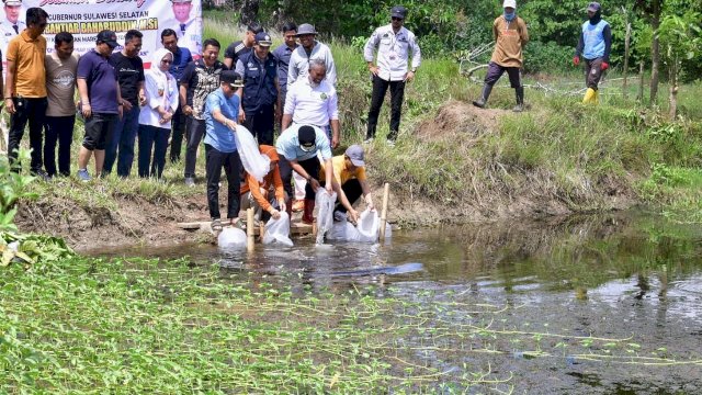 20 Ribu Bibit Ikan Nila Kembali Ditebar di Bone