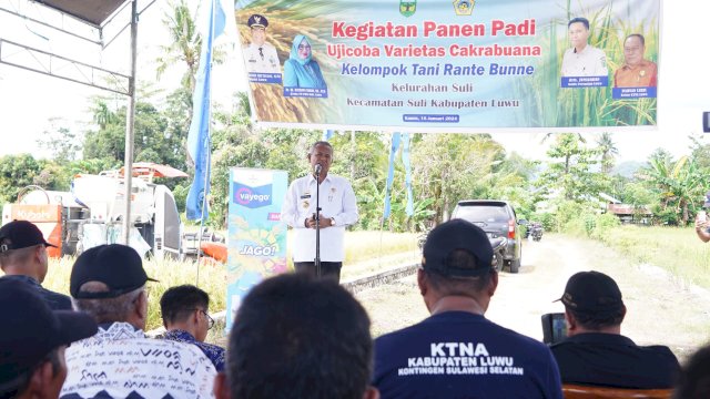 Panen Padi Ujicoba Varietas Cakrabuana, Basmin: Sumber Kehidupan Kita Dari Petani