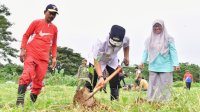 Olahraga di GOR Sudiang, Barisan Muda Putra Pongka Tanam Sukun Bersama Pj Gubernur Sulsel