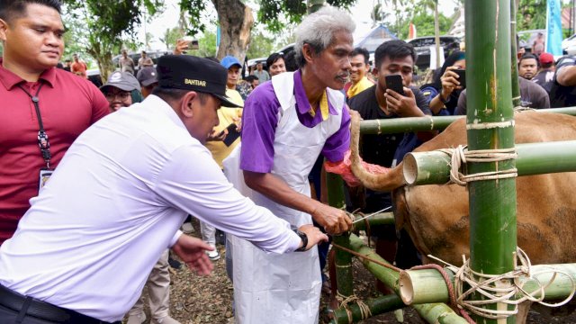 Sebagai upaya peningkatan sektor peternakan di Kabupaten Soppeng, Penjabat Gubernur Sulawesi Selatan (Sulsel), Bahtiar Baharuddin, menyerahkan bantuan kepada Kabupaten Soppeng. Bantuan yang diterima oleh Pemkab Soppeng untuk kemudian disalurkan ke masyarakat ini 