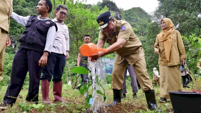 Bantimurung Jadi Sasaran Program Budidaya Sukun: Bahtiar Baharuddin dan Bupati Maros Tanam Sukun di Kawasan Taman Nasional