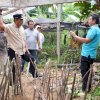 Pj Gubernur Sulsel Tinjau Pembibitan Sukun di Desa Samaenre, Bone