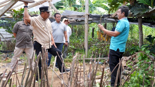 rotoar.id, Parepare - Penjabat Gubernur Sulawesi Selatan, Bahtiar Baharuddin, bersama Penjabat Wali Kota Parepare, Akbar Ali, serta pejabat daerah, melaksanakan kegiatan jalan santai di Kota Parepare pada Minggu, 18 Februari 2024.