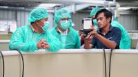 Pj Gubernur Sulsel Tiba di Parepare, Langsung Tebar Benih Udang Vaname dan Tanam Pisang Cavendish