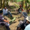Syaharuddin Alrif, Petani Sidrap Berhasil Raih Prestasi Gemilang di Dunia Politik