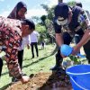 Pangkep Berpotensi Sebagai Penghasil Nangka Madu: Bupati dan Pj Gubernur Lakukan Penanaman Bibit