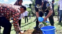 Pangkep Berpotensi Sebagai Penghasil Nangka Madu: Bupati dan Pj Gubernur Lakukan Penanaman Bibit