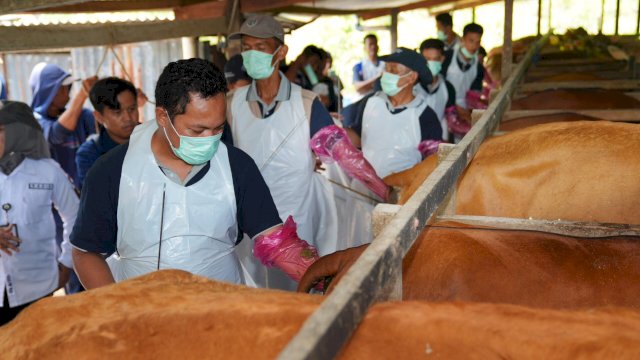 Pj Gubernur Sulsel, Ajak Peternak Menjadi Pengusaha Melalui PIB