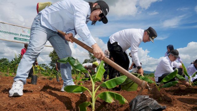Perusahaan raja buah, Great Giant Foods (GGF), menjalin kerjasama strategis dengan Pemerintah Provinsi (Pemprov) Sulawesi Selatan dalam program budidaya pisang cavendish.
