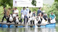 Pj Gubernur Bahtiar Baharuddin Tebar 200 Ribu Benih Ikan Nila di Kelurahan Sepee, Barru