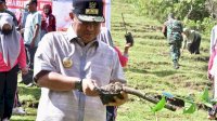 Pj Gubernur Bahtiar Prihatin atas Banjir di Kabupaten Luwu: Serukan Kolaborasi Lindungi Lingkungan Sulsel