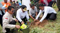 Masyarakat Sulsel Dukungan Program PJ Gubernur Penanaman Pohon