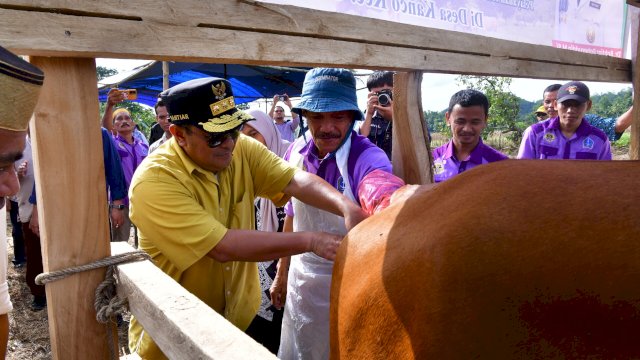 Pemprov Sulsel Dorong Peningkatan  Populasi Ternak di Cina Bone
