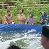 Ketua TP PKK Tabur Benih Udang Vaname di Tanjung Merdeka