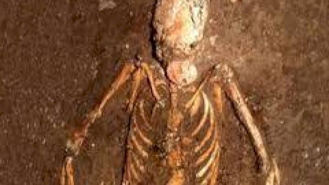 Warga Kandea II Makassar Digegerkan Penemuan Kerangka Manusia di Sebuah Rumah