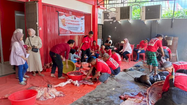 Keluarga Besar PDIP Sulsel Kurban 139 Ekor Sapi Untuk Idul Adha 1445 H