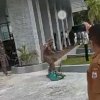 Presidium MW Kahmi Sulsel Kecam Oknum Satpol PP Sulbar Injak-injak Bendera HMI