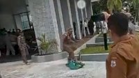Presidium MW Kahmi Sulsel Kecam Oknum Satpol PP Sulbar Injak-injak Bendera HMI