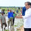 Presiden Jokowi Tinjau Program Pompanisasi di Desa Layoa, Bantaeng