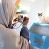 Fotografi Fauna di F8: Menangkap Keindahan dan Tantangan