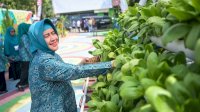 Pj Ketua TP PKK Sulsel, Apresiasi Gedung Baru TP PKK Kota Makassar