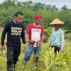 Cabup Sidrap Syaharuddin Alrif Isi Masa Tenang Pilkada dengan Kembali ke Kebun