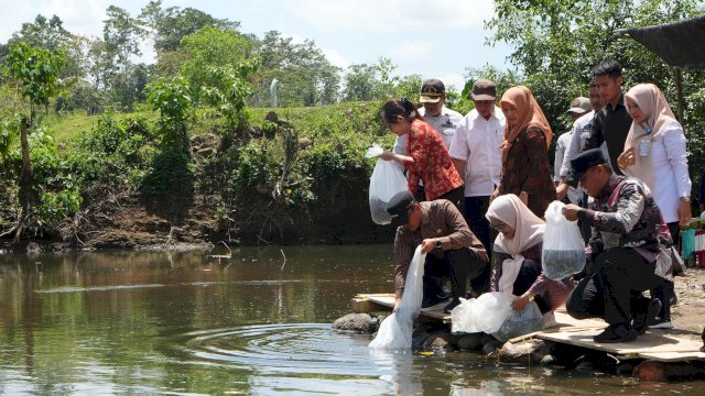 Pemprov Sulsel Salurkan 5 Juta Benih Ikan untuk Perkuat Ketahanan Pangan