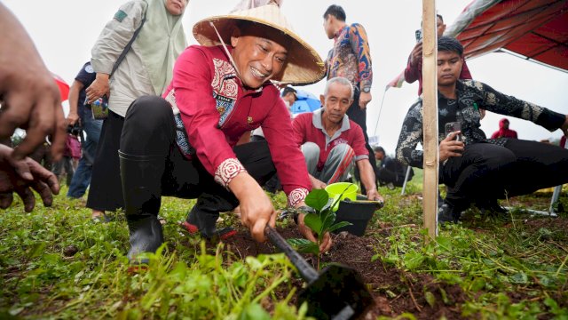 DLHK Sulsel Tanam Lebih dari 12,5 Juta Pohon untuk Pemulihan Hutan dan Lingkungan Hidup