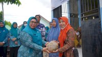 TP PKK Luwu dan DPMD Salurkan Bantuan Pangan Bergizi di Larompong Selatan