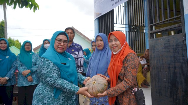 TP PKK Luwu dan DPMD Salurkan Bantuan Pangan Bergizi di Larompong Selatan