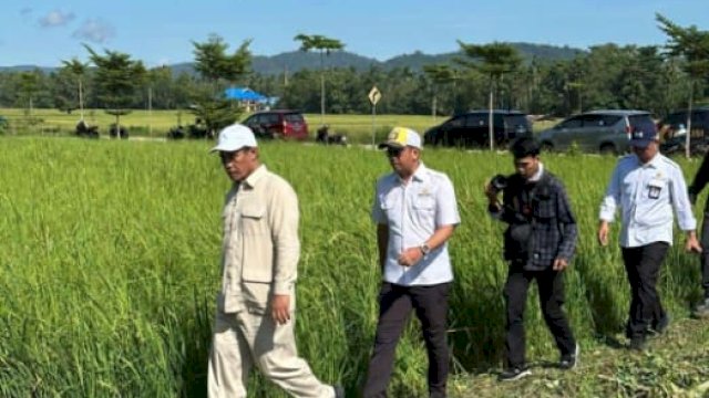 Mentan Amran Perkuat Infrastruktur Irigasi di Konawe untuk Wujudkan Swasembada Pangan