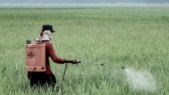 Mahasiswa dan Akademisi Apresiasi Target Prof Fadjry Djufry Jadikan Sulsel Provinsi Swasembada Pangan