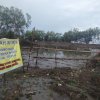 Ironi Hari Lahan Basah: Ribuan Mangrove di Maros Ditebang Demi Sertifikat Hak Milik