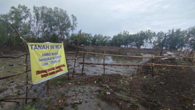 Ironi Hari Lahan Basah: Ribuan Mangrove di Maros Ditebang Demi Sertifikat Hak Milik