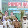 Bupati Sidrap Dampingi Dirjen PSP Kementan Panen Padi di Allakuang
