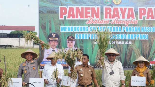 Bupati Sidrap Dampingi Dirjen PSP Kementan Panen Padi di Allakuang