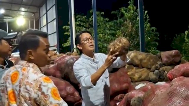 Porang dari Sidrap Tembus Ekspor! Gagasan Bupati Syaharuddin Bikin Ekonomi Warga Tumbuh
