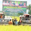 Perkuat Sinergi Demi Ketahanan Pangan,  Pangdam Hasanuddin Ikut Panen Raya Padi Serentak