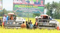 Perkuat Sinergi Demi Ketahanan Pangan,  Pangdam Hasanuddin Ikut Panen Raya Padi Serentak
