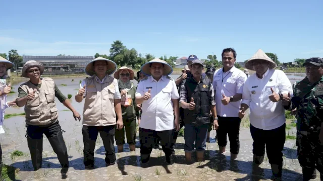 Munafri Arifuddin Ikut Tanam Padi Serentak Virtual Bersama Presiden dan Mentan