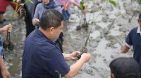 Wali Kota Makassar Munafri Arifuddin: Mangrove Punya Peran Strategis untuk Lingkungan dan Ekonomi Pesisir