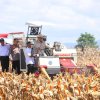 Prabowo Pimpin Panen Raya Jagung di Kalbar: Menuju Kemandirian Pangan Nasional
