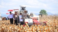Prabowo Pimpin Panen Raya Jagung di Kalbar: Menuju Kemandirian Pangan Nasional
