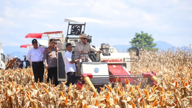 Prabowo Pimpin Panen Raya Jagung di Kalbar: Menuju Kemandirian Pangan Nasional